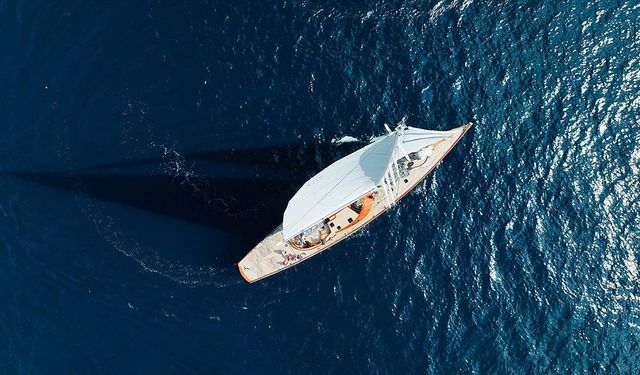 Orkaların yelkenlilerle etkileşimi genç bireylerin merak ve öğrenme davranışı olabilir