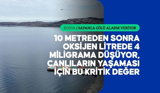 Sapanca Gölü'ndeki kuraklık suyun sadece miktarını değil kalitesini de düşürüyor