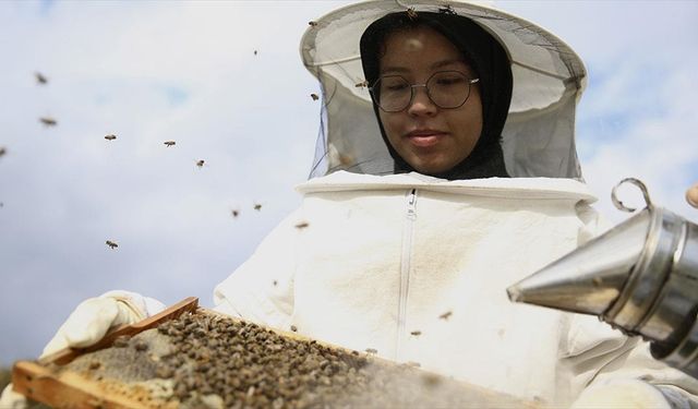Seydikemerli genç baba mesleği arıcılığı sürdürmek için çalışıyor