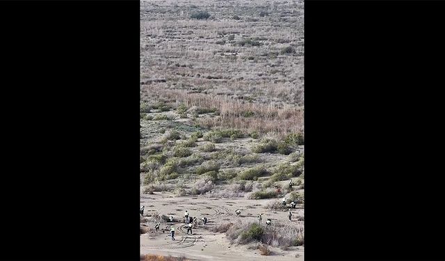 Tarım ve Orman Bakanlığından Ağyatan Lagünü'nde kumul erozyonuyla mücadele