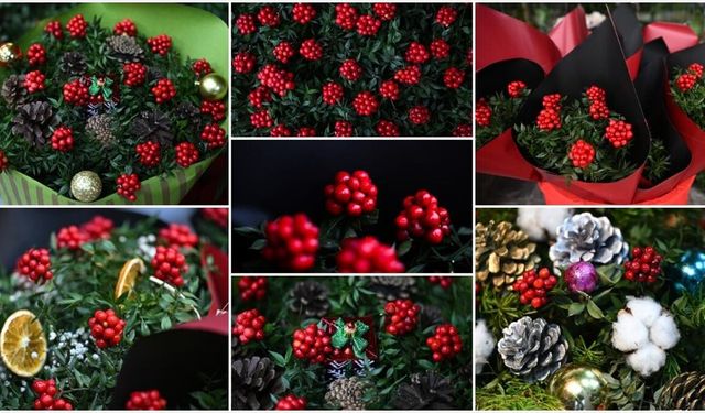 Yılbaşının Vazgeçilmezi Kokina: İnanç, Gelenek ve Yoğun İlgi