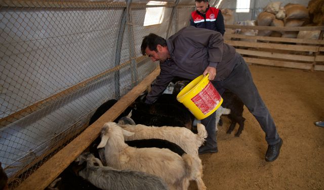 6 ŞUBAT DEPREMLERİNİN ÜÇÜNCÜ YILI - Depremde ahırı yıkılan küçükbaş yetiştiricisi devlet desteğiyle üretime döndü