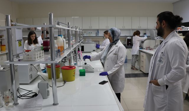 Akademisyenlerin geliştirdiği bor içerikli bileşenin kanser hücrelerine etkisine yönelik çalışmalar tamamlandı