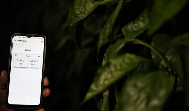 Antalya'da üreticiler dijital tarım uygulamasıyla seralarını telefondan izleyebiliyor