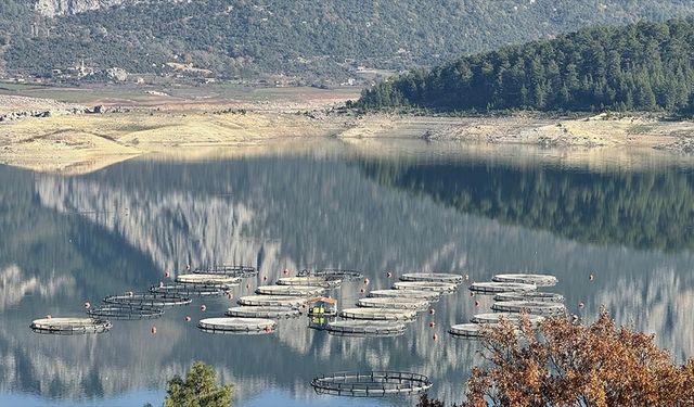 Burdur'daki Karacaören Barajı'nda üretilen alabalık ve somon yurt dışından alıcı buluyor