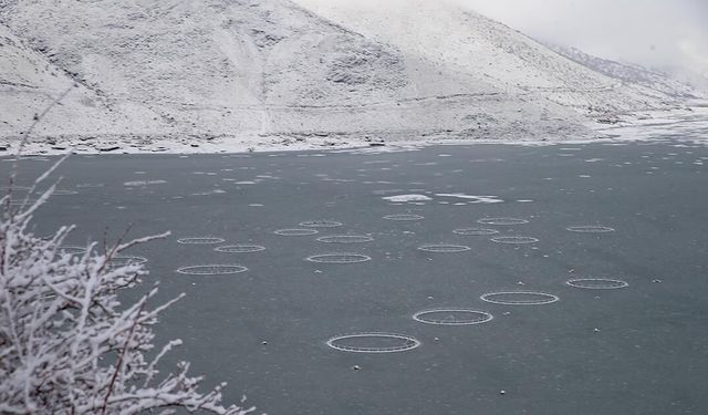 Çat Barajı'ndaki 'yüzen adalar' buz tuttu