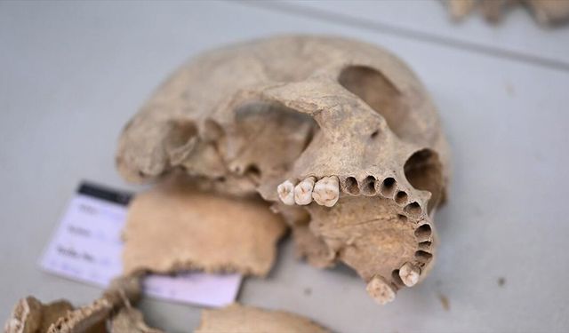 Çayönü Tepesi'nde yaşayan insanların genetik haritası çıkarılıyor