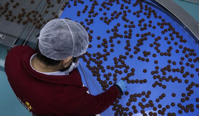 Devlet desteğiyle kurduğu fabrikada günde 100 bin paket glütensiz gıda üretiyor