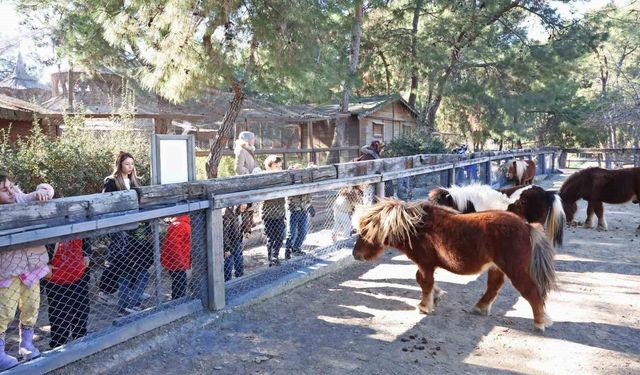 Doğal Yaşam Parkı'nda çocuklara hayvan ve doğa sevgisi aşılanıyor