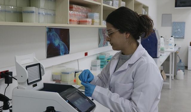 Dokuz Eylül Üniversitesi Teknoparkı şirketleri geçen yıl 60 milyon dolarlık ihracat yaptı