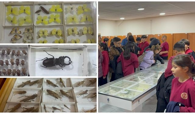 Isparta'daki Böcek Müzesi bilime ve doğa farkındalığına katkı sunuyor