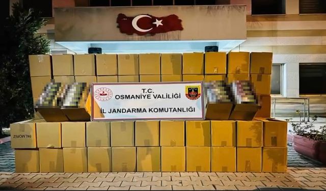 Osmaniye'de durdurulan tırda 1 milyon liralık kaçak makaron ele geçirildi