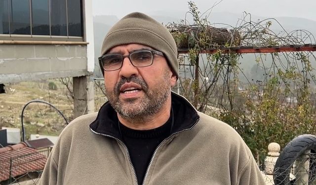 Sokak köpekleri, sahipli köpeği parçaladı