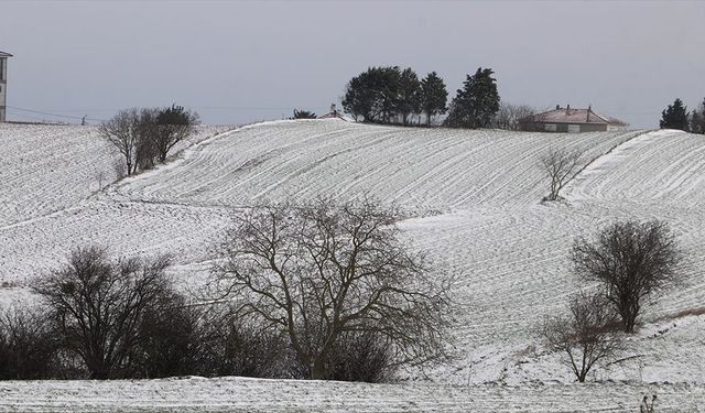 Trakya'da kar yağışı tarım arazilerine can suyu oldu