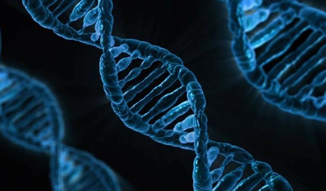 Yapay zeka modeli 'AlphaGenome' yardımıyla DNA'nın bilinmeyenlerinin keşfedilmesi öngörülüyor