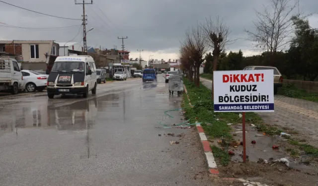 ‘Dikkat Kuduz Bölgesidir’: Hatay’da 4 Mahalleye Yasak !