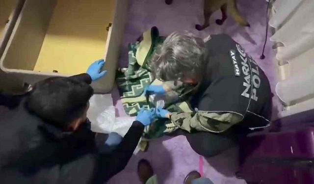Battaniyeye zulalanan uyuşturucuyu narkotik köpeği buldu