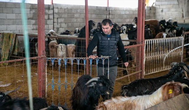 Depremde hayvanlarını kaybeden besici, üretime devlet desteğiyle tutundu