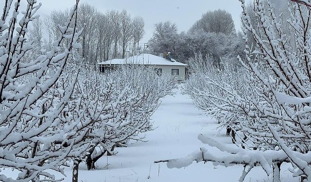 Doğuda soğuk hava ve kar etkisini sürdürüyor