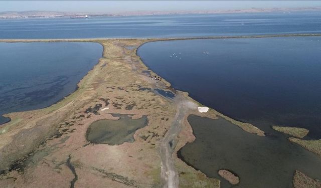 Dünya genelinde süren sulak alan kaybı, küresel ekonomiyi tehdit ediyor