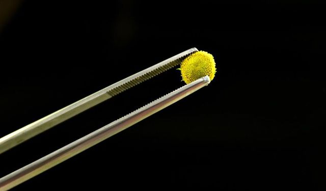 Gastronomi sektöründe yenilebilir çiçeklerin popülerliği arttı