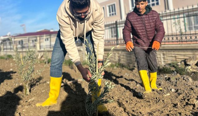 Hatay'da 6 Şubat depremlerinde hayatını kaybeden öğretmenler anısına fidan dikildi