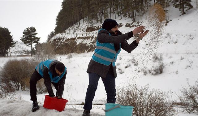 İmamlar zorlu kış şartlarında yiyecek bulamayan yaban hayvanlarına yem taşıyor