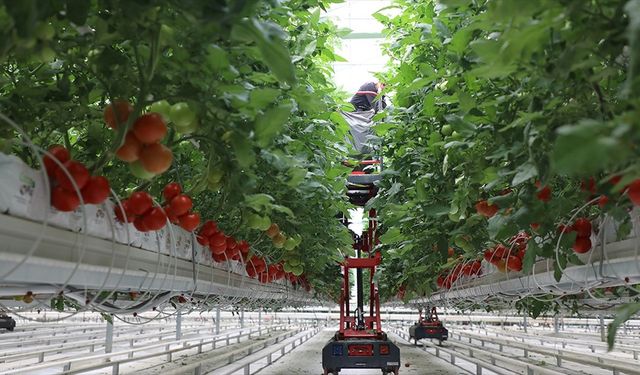 IPARD-III kapsamında 214 projeye 1,7 milyar lira hibe verilecek