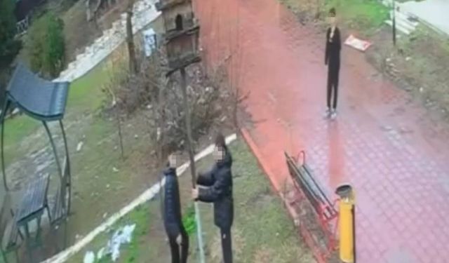 Kuş yuvasını parçalayan 4 çocuğa ev hapsi cezası