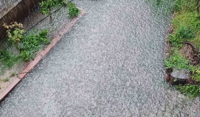 Adana'da yağmur sele neden oldu