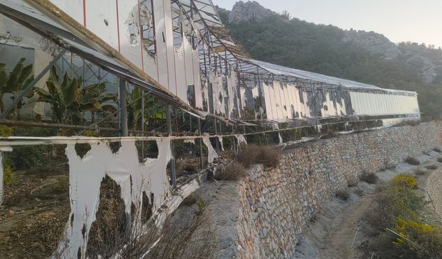 Alanya'da kundaklama iddiasıyla yakalanan 3 zanlı tutuklandı