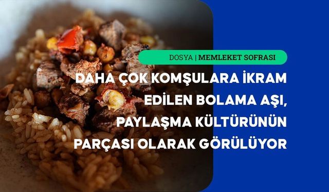 Bolama aşı