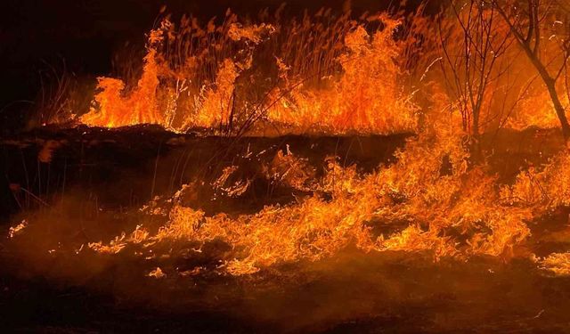 Burdur'da sazlık alanda yangın geceyi aydınlattı