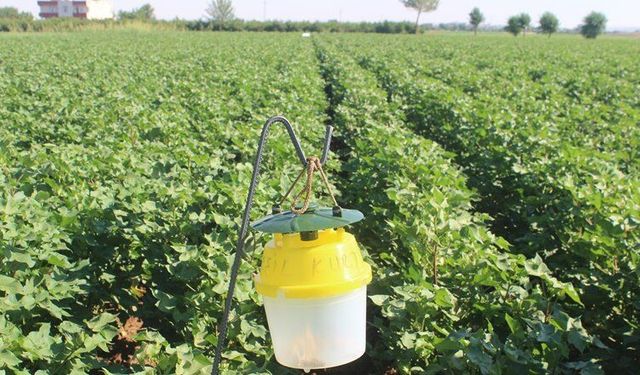 İSKENDERUN ORMAN İŞLETME MÜDÜRLÜĞÜ'NDEN İLAN