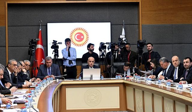 Koruma altında olmayan yaban hayvanları riskli durumlarda avlanabilecek