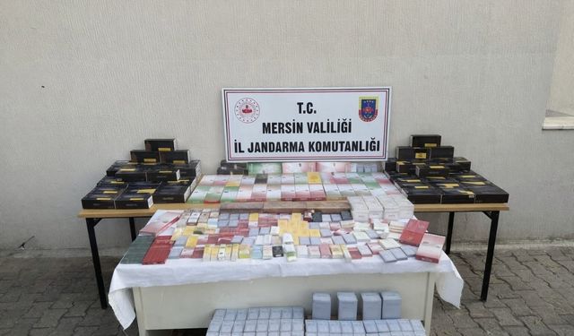 Mersin'de sigara kaçakçılığıyla mücadele 1 şüpheli yakalandı
