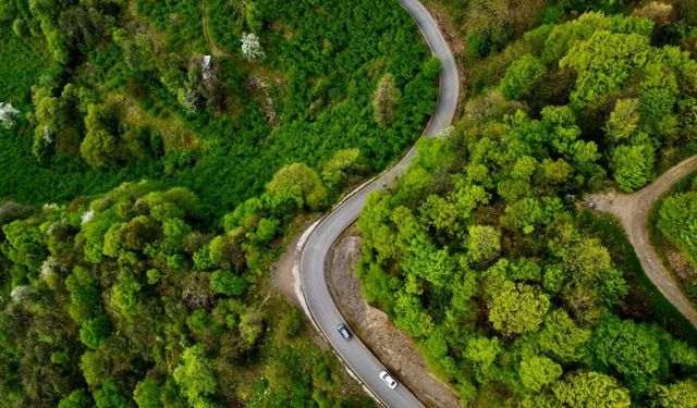 ANTAKYA ORMAN İŞLETME MÜDÜRLÜĞÜ'NDEN İLAN