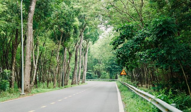 İSKENDERUN ORMAN İŞLETME MÜDÜRLÜĞÜ'NDEN İLAN
