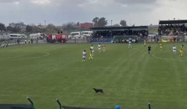 Osmaniye'de maça beklenmedik misafir