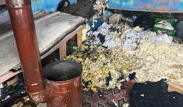 Sobadan sıçrayan kıvılcımlar evi ve çadırı alevlere teslim etti