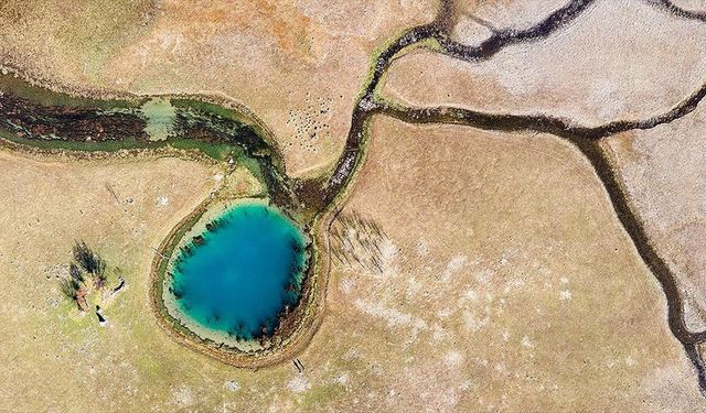 Su kıtlığı dünya nüfusunun yarısını etkiliyor
