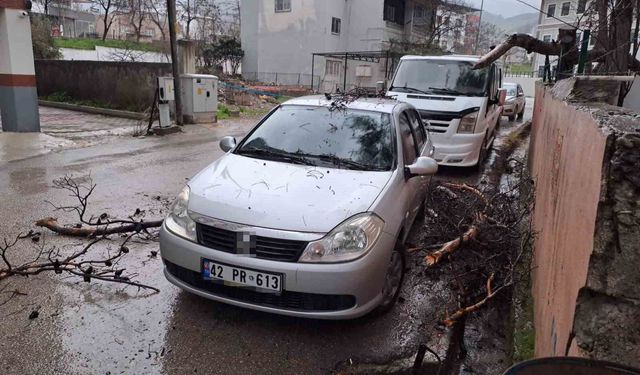 Yağmur ve şiddetli rüzgar çam ağacını devirdi, otomobil zarar gördü
