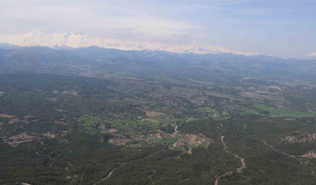 Adana'da bir yanda kar, bir yanda bahar