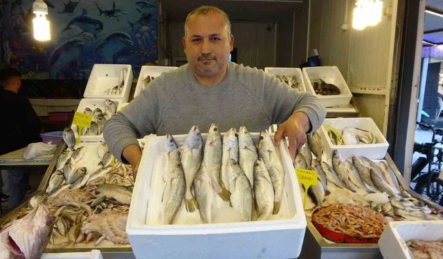 Akdeniz'de av yasağı başlıyor