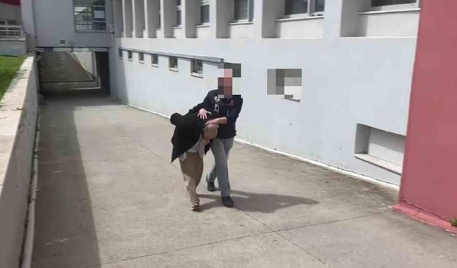 Aracında 825 kilo bonzai yapılacak ham madde yakalattı: 'Bana ait değil'