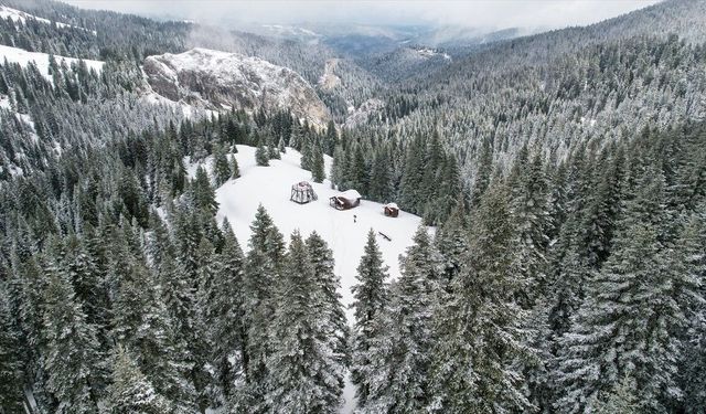 Baharda kar yağışının beyaza bürüdüğü Ilgaz doğaseverlerden ilgi görüyor