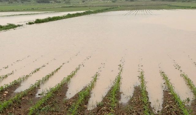 Bazı illerde sağanak ve kar etkili oldu