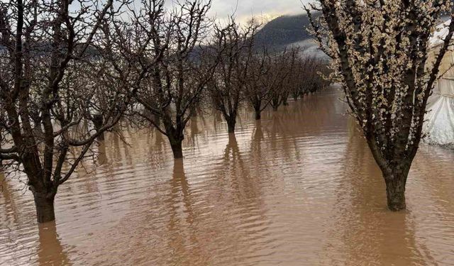 Elmalı'da dereler taştı, tarım alanları sular altında kaldı