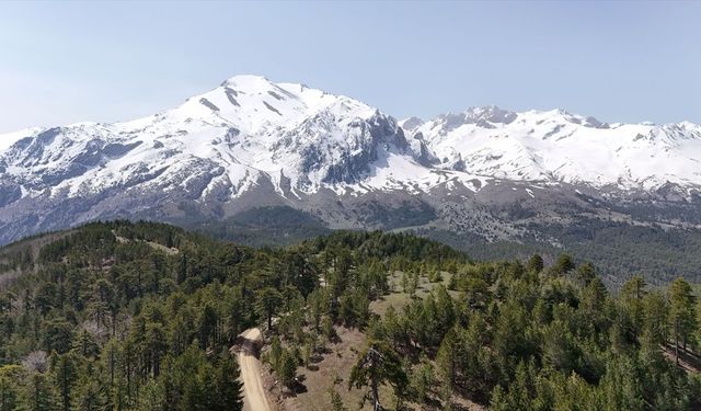 Isparta'da Dedegöl Dağı kamp ve dağcılık tutkunlarını ağırlıyor