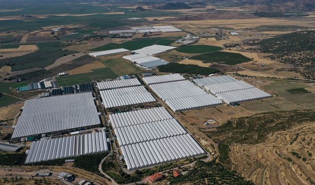 İzmir ve Ege Bölgesi'ndeki 8 ilde yatırımlar teşvikle atağa geçecek